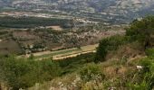Trail Walking Sisteron - SISTERON.   Le Mollard . Col S Pierre o n  - Photo 7