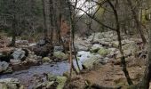 Excursión Senderismo Waimes - UTDS - Fagne de Polleur/Sart - Photo 9