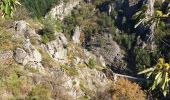 Tour Wandern Vallées-d'Antraigues-Asperjoc - antraigues la violle - Photo 9