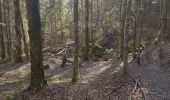 Percorso A piedi Saint-Gervais - Le Rivet ou la ferme des Ecouges - Photo 13