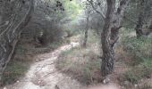 Trail Walking Peyriac-de-Mer - peyriac bages peyriac - Photo 15