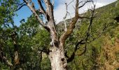 Tour Wandern La Palud-sur-Verdon - le sentier Blanc Martel (Gorges du Verdon ) - Photo 13