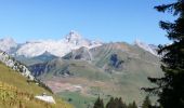 Trail Walking Le Grand-Bornand - AIGUILLE VERTE boucle - Photo 6
