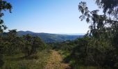 Tour Nordic Walking Saint-Ambroix - 21.05.20 piste  - Photo 2