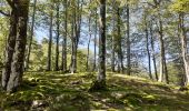 Tour Wandern Erro - ARGINTZU - KINTOA BORDA DEPUIS URKIAGA - Photo 1