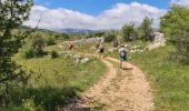 Trail Walking Coursegoules - coursegoules st barnabé  - Photo 20