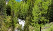 Percorso A piedi Bergün Filisur - Bahnerlebnisweg Albula - Photo 2