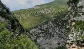 Tour Wandern Estoublon - TREVANS,  Chateau de Trevans,  les Beluguettes. Cotes Chaudes , Belvédère des  Gorges  , Turquet ,o quet  - Photo 6