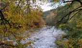 Trail Walking Florenville - rando les epioux 31-10-2023 - Photo 6