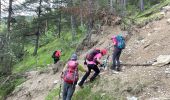 Excursión Senderismo Massoins - Pointe des 4 cantons - Photo 9