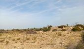 Percorso Marcia Leucate - leucate - la franqui (via le plateau) - phare (via la falaise) - leucate (via le plateau) - Photo 1