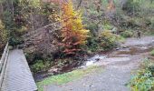 Trail Walking Waimes - RS 2024_10 Botrange  - Photo 9