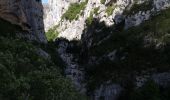 Tour Wandern La Palud-sur-Verdon - Chemin Martel  - Photo 6