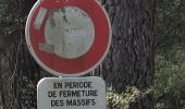 Percorso Marcia Les Arcs-sur-Argens - font du loup vers taradeau les arcs - Photo 18