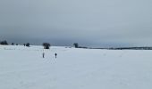 Tocht Sneeuwschoenen Büllingen - Manderfeld (PVDB) - Photo 7