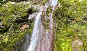 Percorso Marcia Saint-Claude - Guadeloupe - Chute du Galion - La Citerne - Photo 10