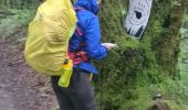 Trail Walking O Pino - Compostela - Photo 8