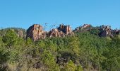 Excursión Senderismo Bagnols-en-Forêt - BAGNOLS EN FORÊT - LES GORGES DU BLAVET - Photo 2