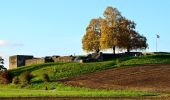 Tour Zu Fuß Wetzikon - Oberwetzikon - Pfäffikon - Photo 2