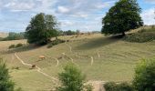 Tour Wandern Comblain-au-Pont - Pont de Scay 20 Km  - Photo 17