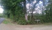 Tour Wandern Vouvant - Vouvant  - Photo 8