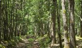 Excursión Senderismo La Chapelle-Enchérie - La Chapelle-Enchérie - Bois de Bricsard - Photo 9