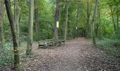 Tocht  Ostwald - Sans pluie  - Photo 2