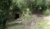 Tour Wandern Carnac - tro vraz - Photo 3