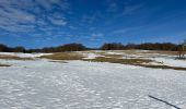 Trail Walking Stosswihr - Les 3 Fours - col de la Schlucht - Photo 2