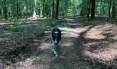 Trail Walking Neufchâteau - Hosseuse début GR 151 puis boucle retour  - Photo 2