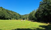 Trail Walking Nassogne - Marche ADEPS Nassogne - Photo 2