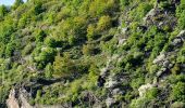 Tour Zu Fuß Sankt Goarshausen - Rheinsteig-Zuweg Nochem - Photo 2