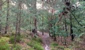 Trail Walking Arbonne-la-Forêt - Forêt de Fontainebleau Tour de la Vierge et Le Hurlevent - Photo 1