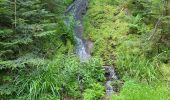 Randonnée Marche Vexaincourt - Le charme mystérieux du lac de la Maix - Photo 2