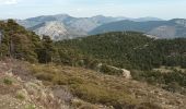 Trail Walking La Bastide - Le Lachens-la Bastide-20-03-23 - Photo 9