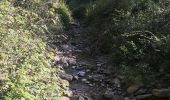 Trail On foot Santa Luce - Case Corbinelli – Poggio al Ceraso - Photo 2