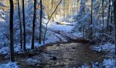 Tour Wandern La Roche-en-Ardenne - Samree 130125 - Photo 20