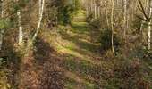 Trail Horseback riding Viroinval - Oignies- Nobertin- La folie-Oignies - Photo 8