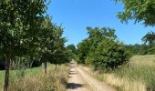 Randonnée Marche Meix-devant-Virton - Gerouville - Photo 9