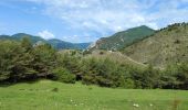 Trail Walking Castellar - Castellane - roc d'Ormea - Photo 7