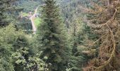 Trail Walking Le Val-d'Ajol - Faymont - Photo 3