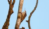 Tour Zu Fuß Lelystad - Zeearendroute - Photo 7