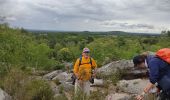 Trail Walking Nainville-les-Roches - Les grands avaux - Photo 1
