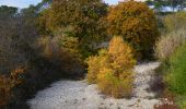 Trail Walking Les Arcs-sur-Argens - Chemin de Compostelle de Abbaye Celle Roubaud à Lorgues par Ermitage St Ferréol - Photo 9