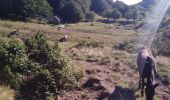 Trail Walking Herran - 2020-08-20 Arbas -  cabane de roqué pic -  de paloumère - sommet de cornudère. - Photo 9