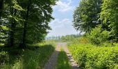 Trail Walking Noroy-sur-Ourcq - en Forêt de Retz_93_05_2022_le Bois de Cresnes - Photo 1