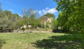 Tour Wandern Cheval-Blanc - Les gorges du Regalon  - Photo 4