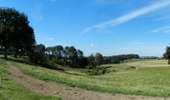 Trail On foot Dinant - Bois del Biche - Photo 7