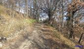 Trail Walking Beaufort-sur-Gervanne - Chapelle Saint-Pancrace (Suze) - Photo 9