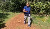 Trail Walking Plan-d'Aups-Sainte-Baume - Sté beau me - Photo 8